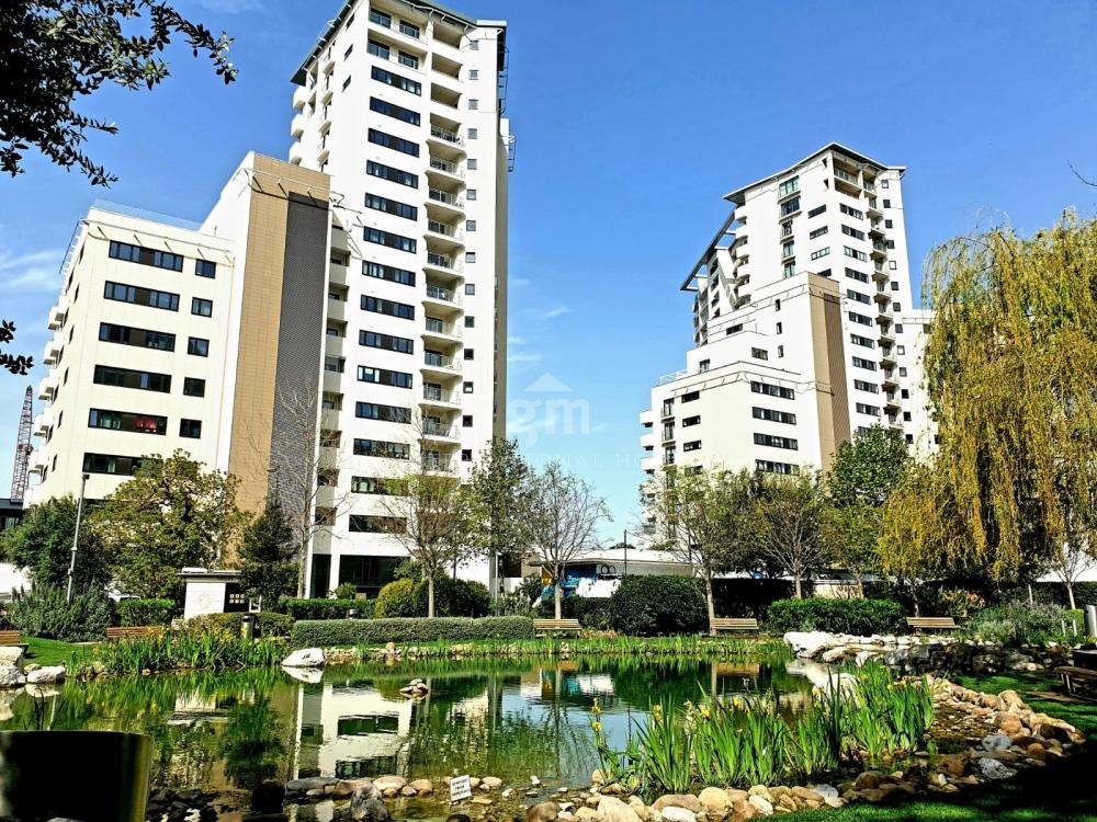 Image of Quay 29